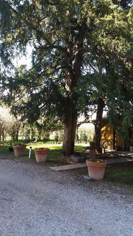 モデナ Al Cancello Bed & Breakfast エクステリア 写真